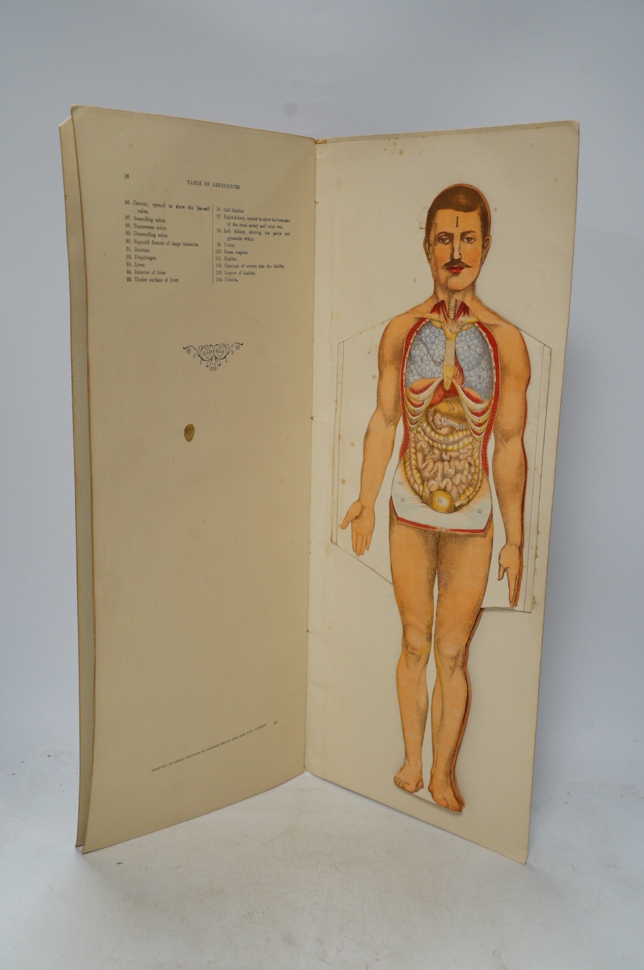 Two late 19th century anatomical publications; Philips’ Popular Manikin, containing a foldout chart of the human body showing cross-sections of the internal organs, etc., 49.5cm x 20cm, together with a large poster style